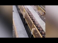 dry process sodium silicate furnace / solid sodium silicate making machine