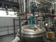 Stable Performance Liquid Detergent Making Machine For Slurry Preparation